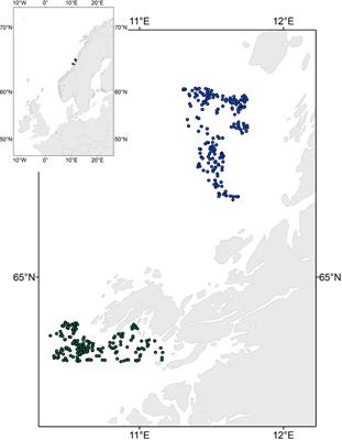 Efficient spatial kelp biomass estimations using acoustic methods